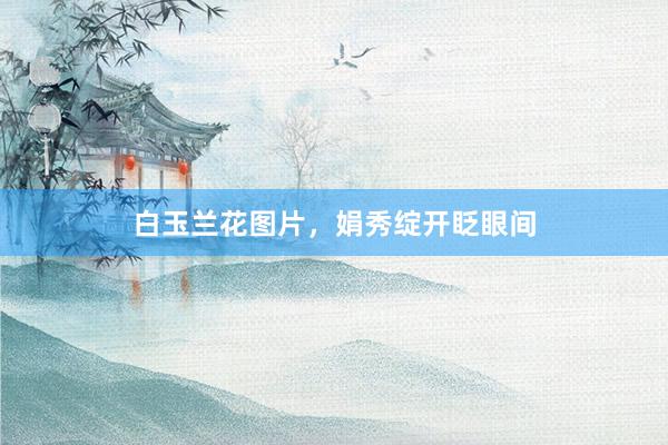 白玉兰花图片，娟秀绽开眨眼间