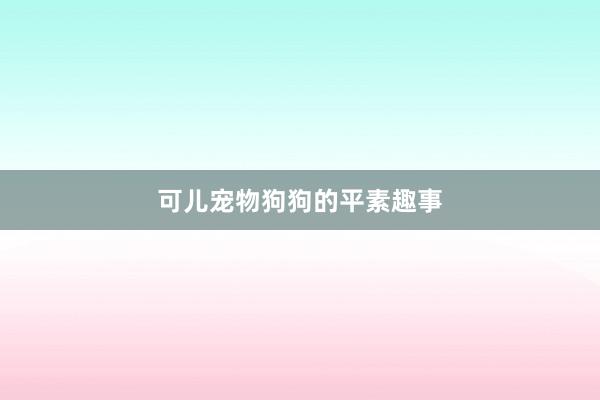 可儿宠物狗狗的平素趣事
