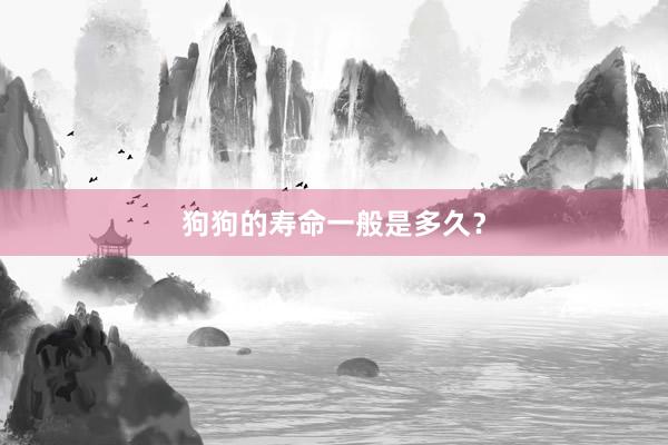 狗狗的寿命一般是多久？