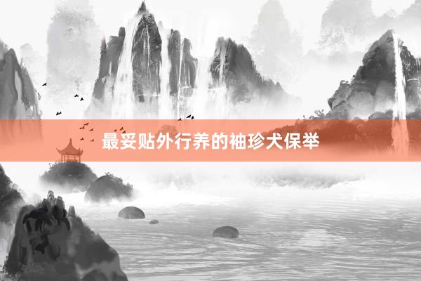 最妥贴外行养的袖珍犬保举